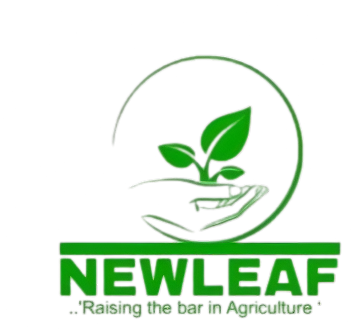newleaf